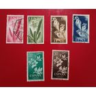 Испанские колонии Ифни Сахара флора