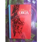 Войнич, Овод, рбрест