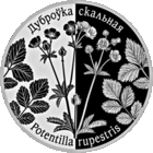 Лапчатка скальная. Дубровка скальная. 1 рубль