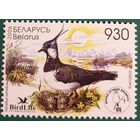 2006 Птица года в Беларуси - Чибис Беларусь