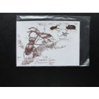 Продажа коллекции с 1 рубля! КПД Беларуси.