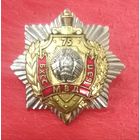 Нагрудный знак 75 лет службе ОБЭП МВД Беларуси * ОБХСС * 2012 год * Номерной * Милиция * Сенс Sens