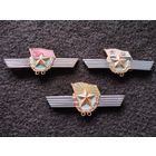 Классность сверхсрочника СССР. Армия. Авиация. Флот. Одним лотом. (Е-6)