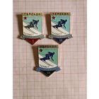 Турбаза МО СССР Терскол. Турист горнолыжник. Лот 3 знака, вместе.