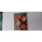 С днем рождения! 1985г.не подписана