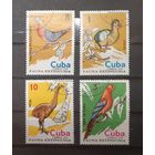 Куба. 1974 год. Фауна. Птицы (4 марки из серии)