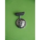 Значок Влксм