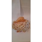 КОНФЕТНИЦА РАКУШКА ВРЕМЕН СССР