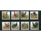 Польша. Фауна. Птицы