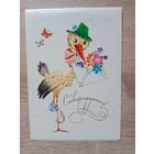 Манилова двойная чистая 1984