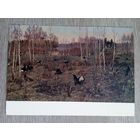 1956. Мухин. Когачи