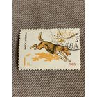СССР 1965. Собаки. Русская гончая. Марка из серии