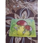 Стерео календарик,как стать большим ,1985