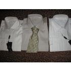 Фирменные рубашки и галстуки Platin.