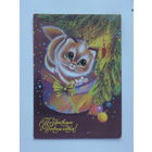 Нигматуллина с новым годом 1992 10х15  см