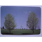 Календарик 1997 г. Белавиа.