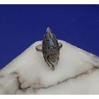 Серебряное кольцо Северная чернь, 925 проба.