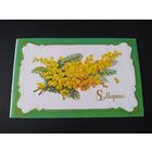 С. Комарова