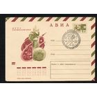 Художественный маркированный конверт СССР со спецгашением N 7332 (23.11.1970) АВИА  День космонавтики
