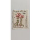Чехословакия 1960. Цветы