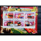 ФАУНА животные млекопитающие   БЛОК сто