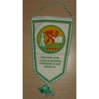 Пионерскому отряду за успехи в соревновании по сбору макулатуры.