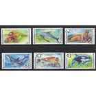 Болгария 1991. Фауна моря. Морж, кит, тюлень, дельфин  4 марки  (3959)