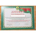 Диплом ПВ РБ