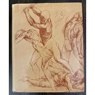 Рисунок мастеров итальянского возрождения.Альбом