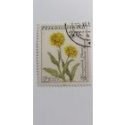 Чехословакия 1960. Цветы