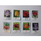 ГЕРМАНИЯ стандарты ЦВЕТЫ