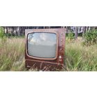 Телевизор ГОРИЗОНТ 101