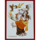 Поздравляем! Чистая. 1983 года. Четвериков. 1352.