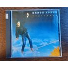 Павел Кашин – Подсолнух