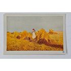 До 1917 года    открытка