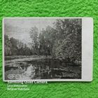 Почтовая карточка 1946 год. Серов В.А.(1865-1911) Заросший пруд 1888. ПРОДАЮ.
