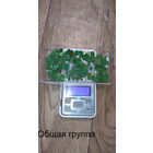 3 дня! Конденсаторы КМ