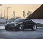 Картина маслом "БМВ M5" 40/50 см