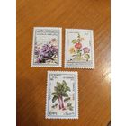 1982 Афганистан чистая полная серия MNH** флора цветы (4-6)