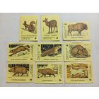 Спичечные этикетки ф.Победа. Заповедники. 1972 год