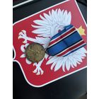 Медаль Польша своему защитнику , Polska swemu obroncy  1918-1921 (Польско-Советская война )