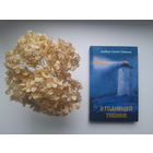 Альберт Санчес Пиньоль, "В пьянящей тишине"