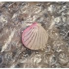 Елочная мини игрушка Ракушка из набора Малютка