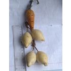 Елочные игрушки папье Маше