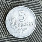 5 грошей  1959  Польша