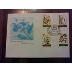 Конверт Первый день. Беларусь. 1996 год