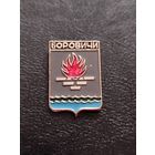 Значок герб Боровичи