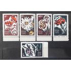 СССР 1965г. Серия из 5 марок с полями. Цветы. **