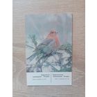 Календарик 1988