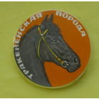 Тракененская  порода. 889.